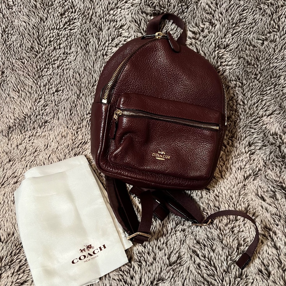 Coach Charlie Pebble Mini Leather Backpack - Picture 11 of 14